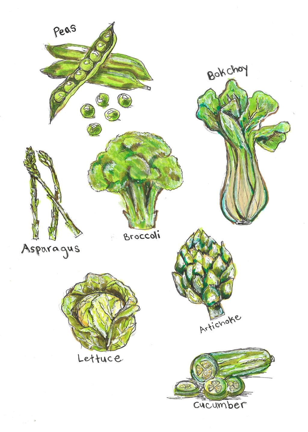 Green Vegetables Art Print